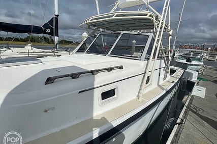 Luhrs 30' Alura