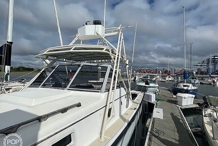 Luhrs 30' Alura