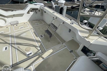 Luhrs 30' Alura