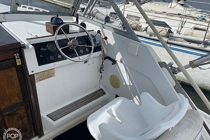 Luhrs 30' Alura