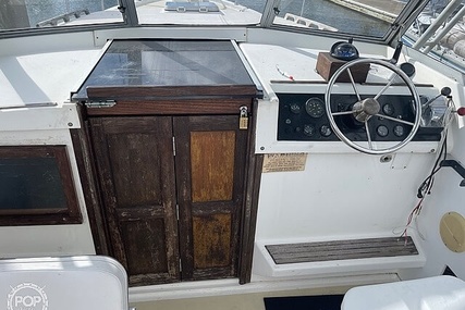 Luhrs 30' Alura