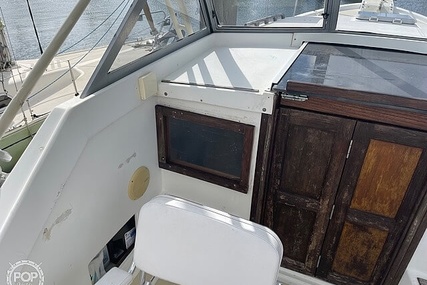 Luhrs 30' Alura