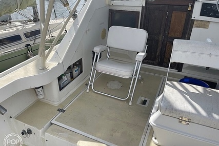 Luhrs 30' Alura