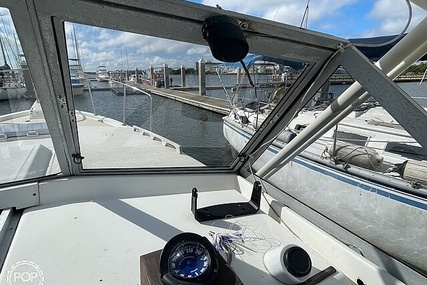 Luhrs 30' Alura