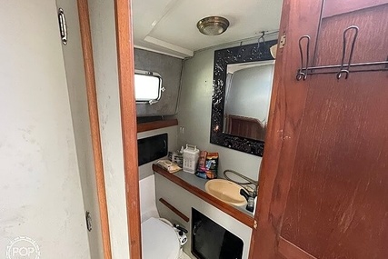 Luhrs 30' Alura