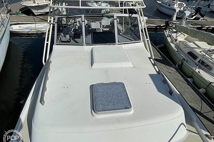 Luhrs 30' Alura