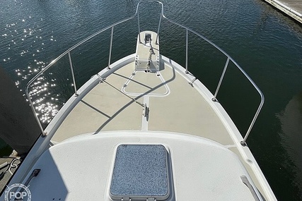 Luhrs 30' Alura