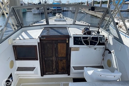 Luhrs 30' Alura