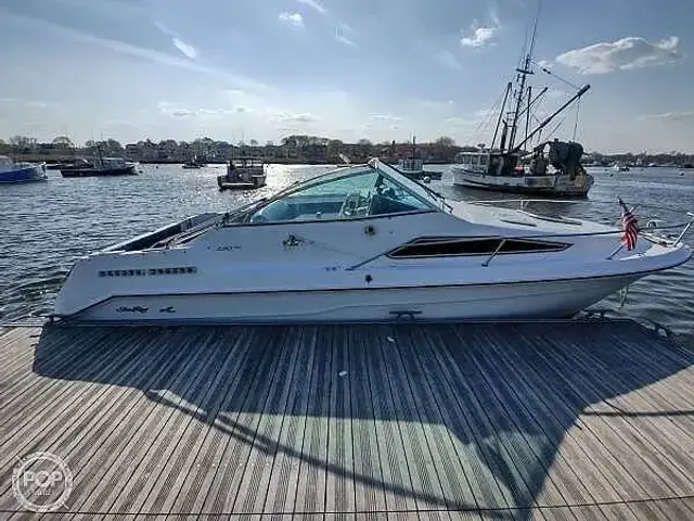 Sea Ray Sundancer 220