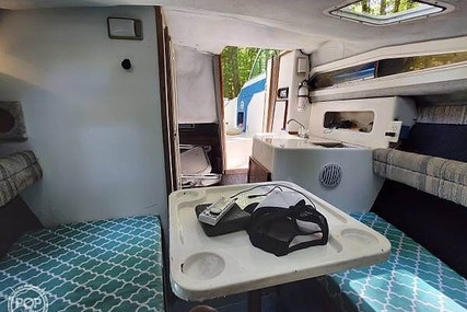 Sea Ray Sundancer 220