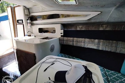 Sea Ray Sundancer 220