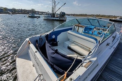 Sea Ray Sundancer 220