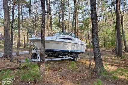 Sea Ray Sundancer 220