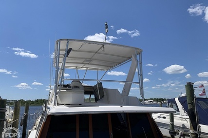 Bayliner 4588 Pilothouse MY