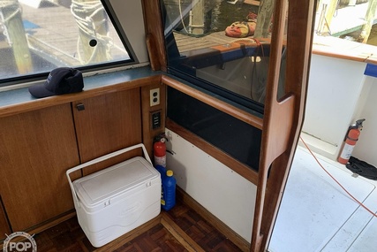 Bayliner 4588 Pilothouse MY