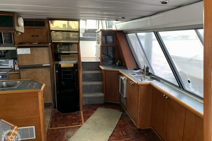 Bayliner 4588 Pilothouse MY