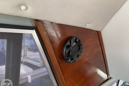 Bayliner 4588 Pilothouse MY