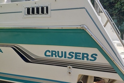 Baha Cruisers 250 Express Xle