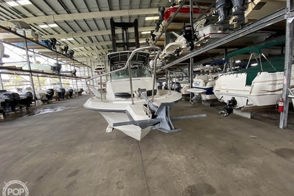 Hydra-Sports Boats Seahorse 230 Walk Around