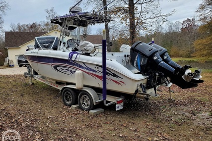 Baja 250 Sportfish