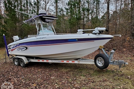 Baja 250 Sportfish