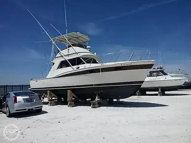 Chris Craft Commander 36