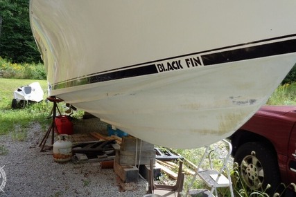 Blackfin 27