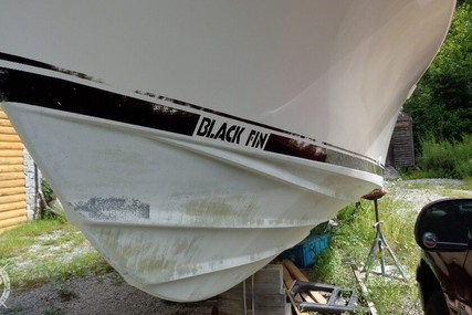 Blackfin 27