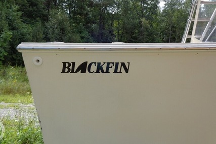 Blackfin 27