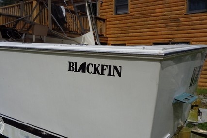 Blackfin 27