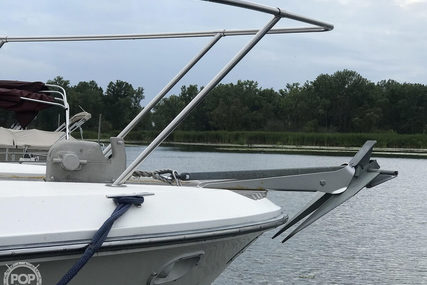 Sea Ray 390 Express Cruiser