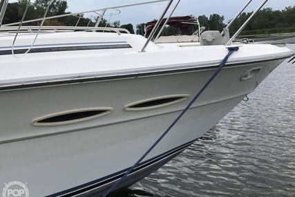 Sea Ray 390 Express Cruiser