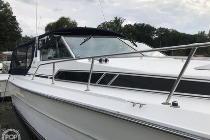 Sea Ray 390 Express Cruiser