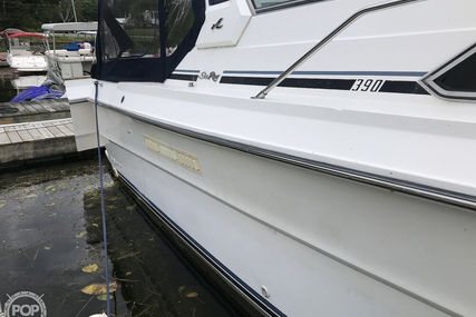 Sea Ray 390 Express Cruiser