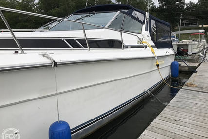 Sea Ray 390 Express Cruiser