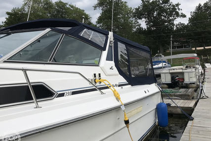 Sea Ray 390 Express Cruiser