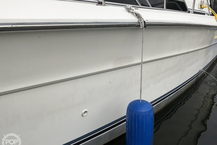 Sea Ray 390 Express Cruiser