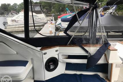 Sea Ray 390 Express Cruiser