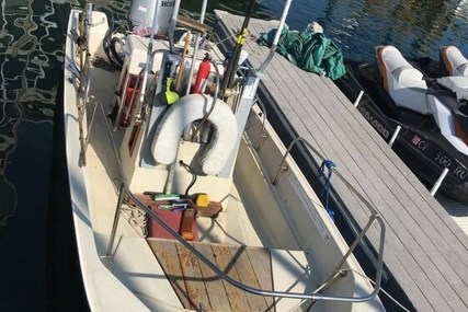 Boston Whaler 17 Montauk