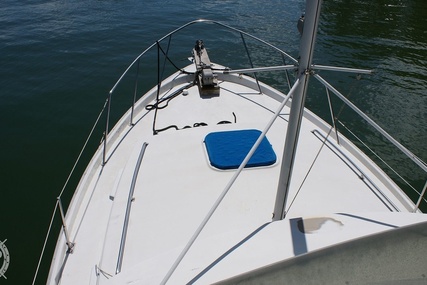 Mainship Boats 34 Diesel Cruiser