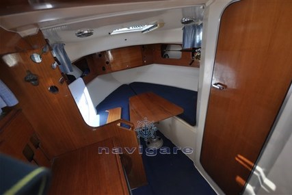 Catarsi Calafuria 8 BIG CRUISER