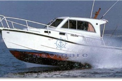 Catarsi Calafuria 8 BIG CRUISER