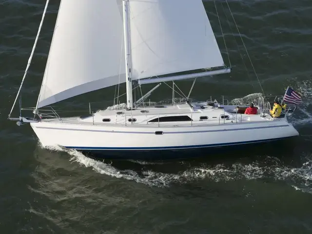 Catalina 445