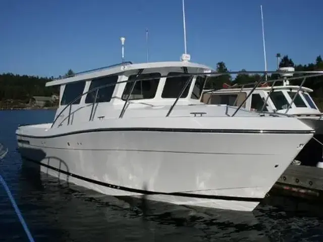 Ocean Sport 30