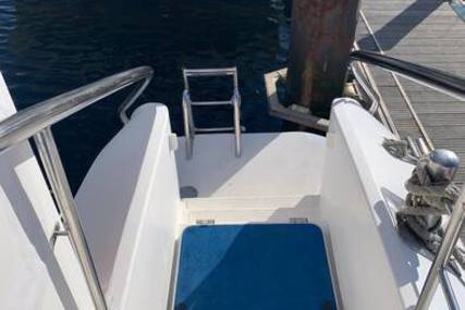 Commercial boats Glass Bottom Catamaran