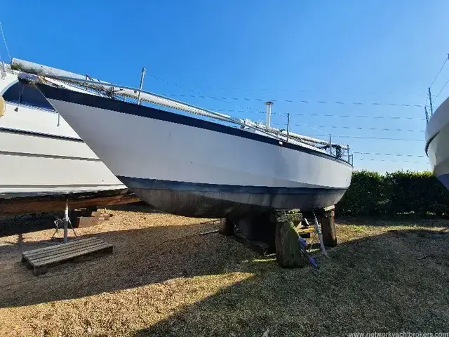 Classic Yacht Classic Kliever 11