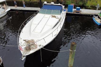 Sea Ray 460 Express Cruiser