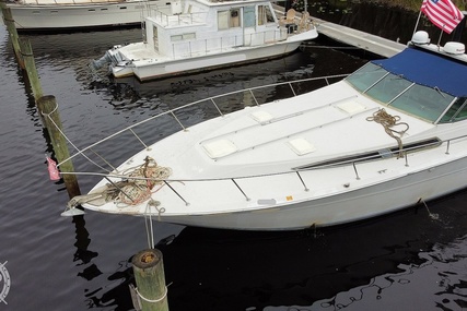 Sea Ray 460 Express Cruiser