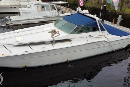 Sea Ray 460 Express Cruiser