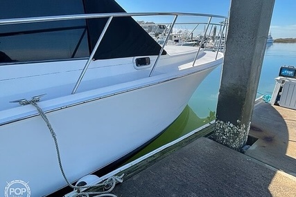 Cabo 35 Flybridge SF